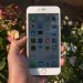 Apple vendos iPhone 6 Plus në listën ‘vintage’