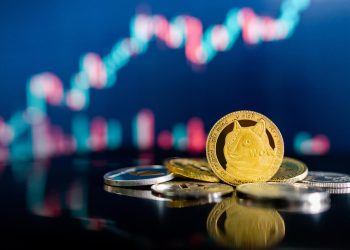 Shiba Inu, + 26% në 24 orë dhe rritja vazhdon