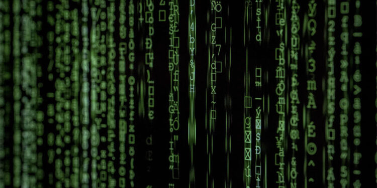 Kiwi Farms Hacked After Cloudflare, DDoS-Guard Drop Protection; Usernames Passwords Stolen