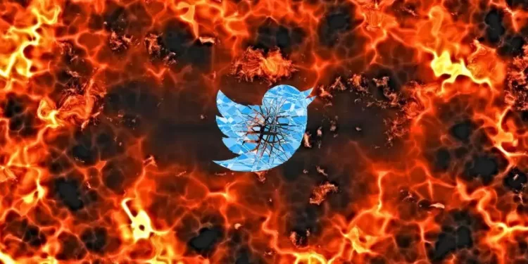 Twitter: Musk riaktivizon të gjitha llogaritë e pezulluara
