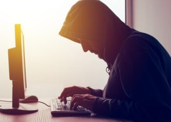 Cybercrime: paga deri në 20,000 dollarë në muaj