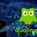 Duolingo: 2.6 milionë të dhëna të përdoruesve në rrezik