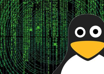 Linux: malware vjedh të dhëna dhe fjalëkalime për vite me rradhë, duke vepruar i pashqetësuar