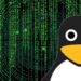 Linux: malware vjedh të dhëna dhe fjalëkalime për vite me rradhë, duke vepruar i pashqetësuar