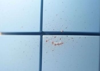 FileFix: Sulm ClickFix me Windows File Explorer