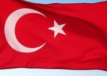 Grok bllokohet në Turqi për fyerje ndaj Erdoganit