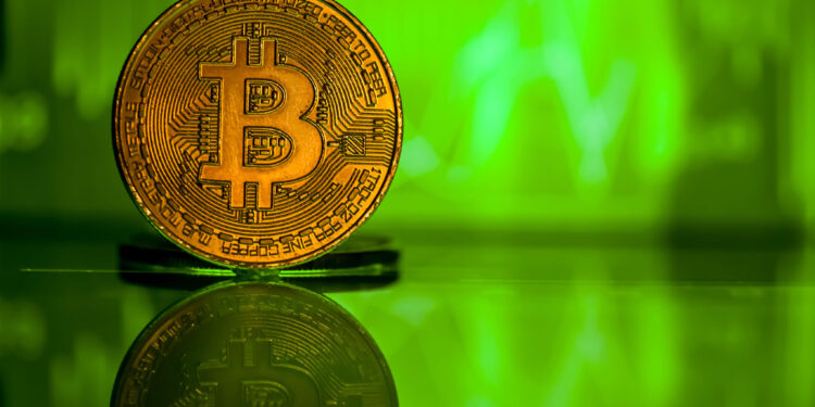 BTCFi përballet me sfida: 77% e mbajtësve të Bitcoin nuk e kanë provuar ende