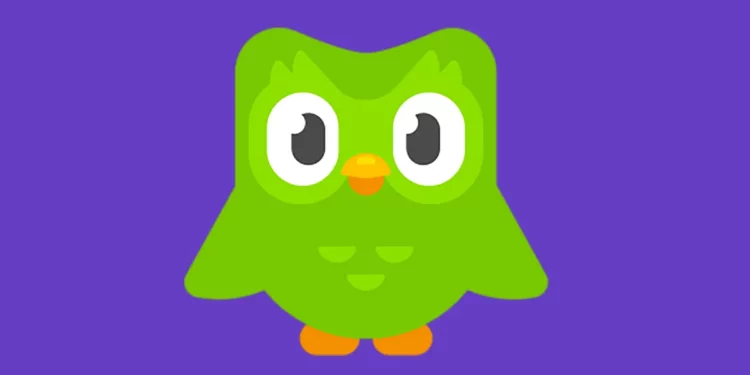 Duolingo i thotë “Jo” San Franciskos: Pse nuk do të hapë kurrë zyrë aty