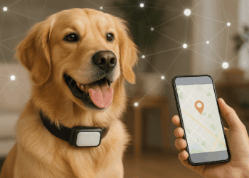 Life360 prezanton GPS për kafshët shtëpiake — nuk do t’i humbni më kurrë!