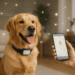 Life360 prezanton GPS për kafshët shtëpiake — nuk do t’i humbni më kurrë!