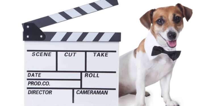 Filmat e së ardhmes: Kafshët reale po zëvendësohen nga AI dhe animacioni