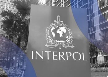 11 miliardë dollarë në mashtrime: ndërhyrja urgjente e INTERPOL-it
