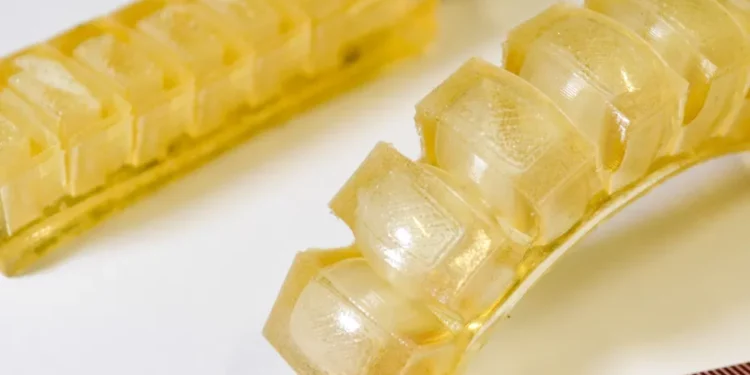 Robot i ngrënshëm: Një inovacion ushqimor dhe teknologjik