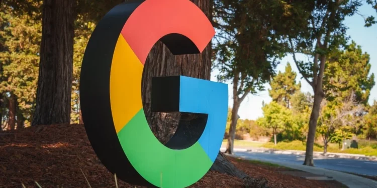 Google blen kuota karboni nga një projekt i madh i rivendosjes së pyjeve në Amazonë