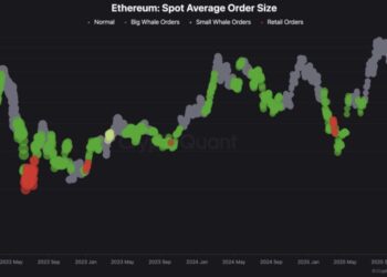 Kriptomonedhat marrin hov: ETF-të dhe fundi i ndërprerjes së qeverisë japin shpresë