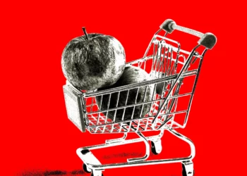 Ekonomia e mashtrimit në epokën e AI-së: rasti i rimbursimeve false në Kinë