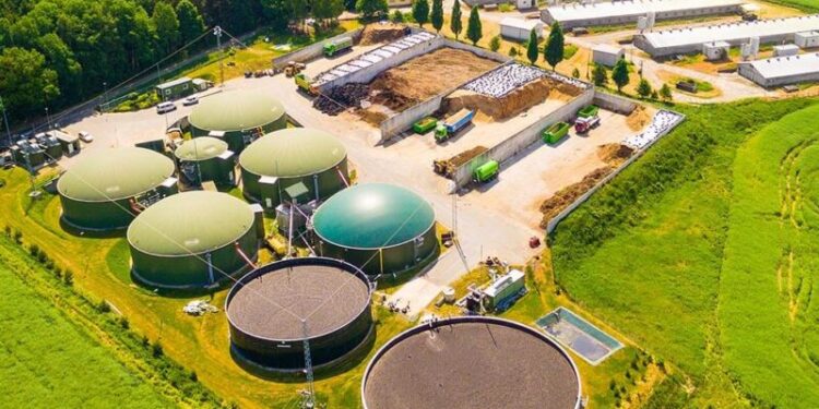 Microsoft investon masivisht në heqjen e karbonit: blen 3.6 milionë tonë nga një central bioenergjetik