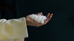 Nga mbetje në luks: një AI po shndërron puplat e pulës në “cashmere” sintetik