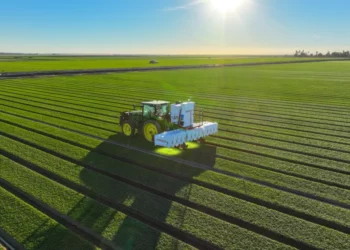 Carbon Robotics zhvillon një model AI që njeh dhe identifikon bimët në kohë reale