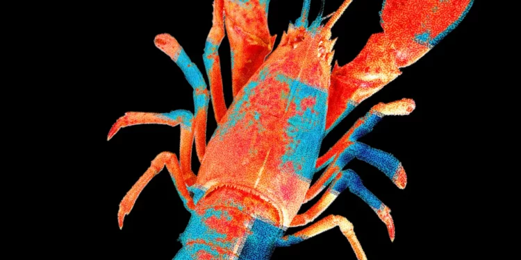 Ambicia për AI autonome përplaset me realitetin e sigurisë digjitale