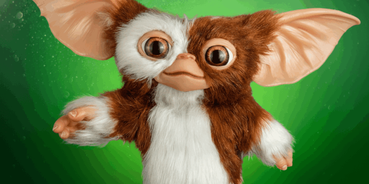 Gizmo, aplikacioni i ri për mini-aplikacione interaktive, sjell eksperienca kreative pa kodim