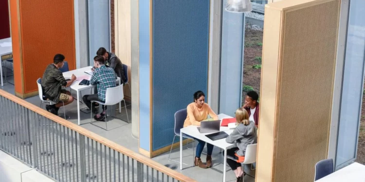 Universitetet përballen me rënie në shkencat kompjuterike: studentët drejt fushave të reja