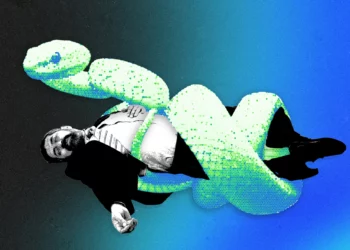 Nga Silicon Valley te algoritmet: a po transformon AI kapitalin e rriskut?