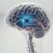 Një hap i ri në neuroteknologji: Science Corp përgatitet për implantet në tru