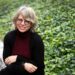 Historiania Jill Lepore paralajmëron: Silicon Valley po dobëson demokracinë