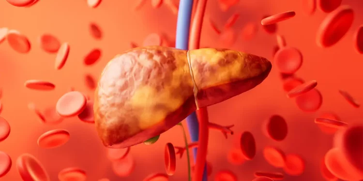 AI mund të zbulojë shenjat e kancerit të mëlçisë shumë më përpara diagnozës